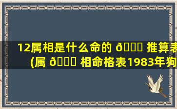 12属相是什么命的 🐎 推算表(属 🍁 相命格表1983年狗)